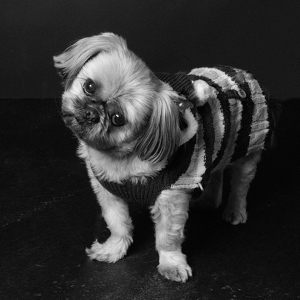 Fundraising Page: Kody Morris